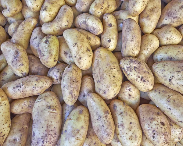 Surowe ziemniaki ekologiczne na sprzedaż — Zdjęcie stockowe