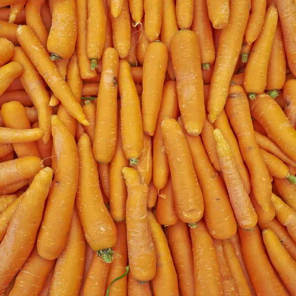 Fresh organic carrots for sale — Stock Photo, Image
