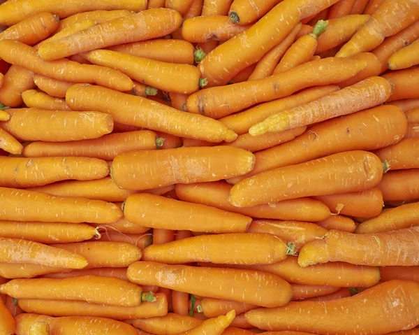 Fresh organic carrots for sale — Stock Photo, Image