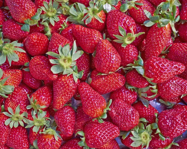 Fragole fresche in vendita — Foto Stock