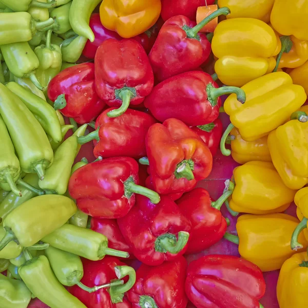 Peperoni colorati in vendita — Foto Stock