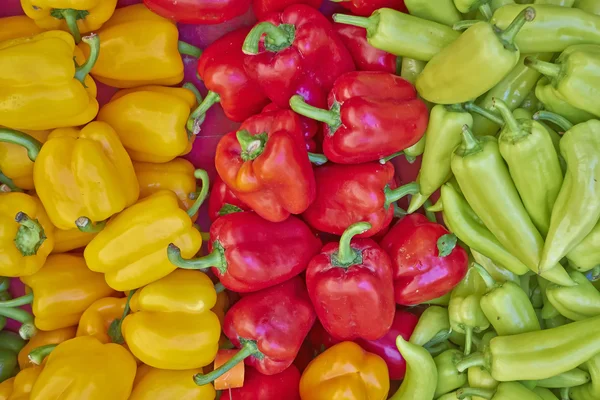 Colorful bell peppers for sale — Stock Photo, Image