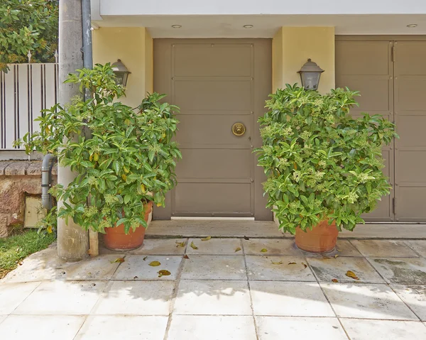 Casa puerta y macetas, suburbios de Atenas, Grecia — Foto de Stock