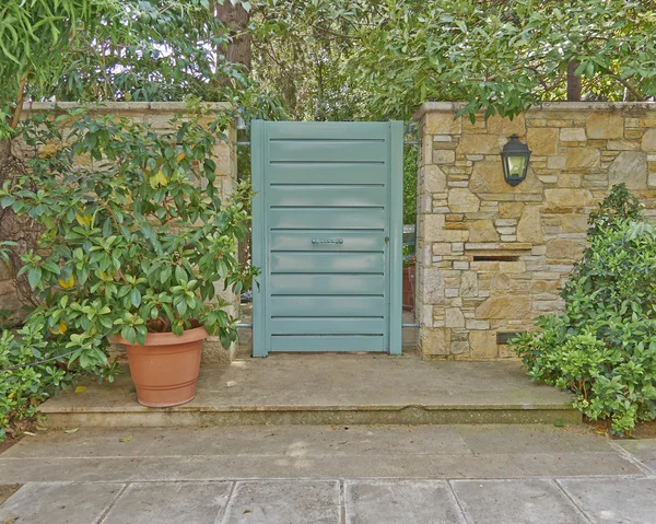 House green door and flowerpot, Athens Greece — Stock Photo, Image