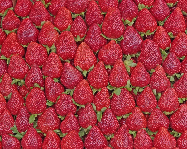 신선한 딸기 근접 촬영 — 스톡 사진