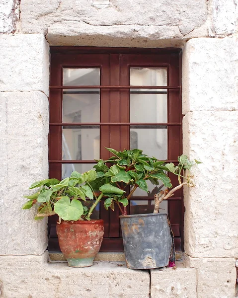 Grécia, janelas e vasos de flores — Fotografia de Stock