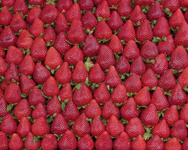 Frische Erdbeeren natürlichen Hintergrund — Stockfoto