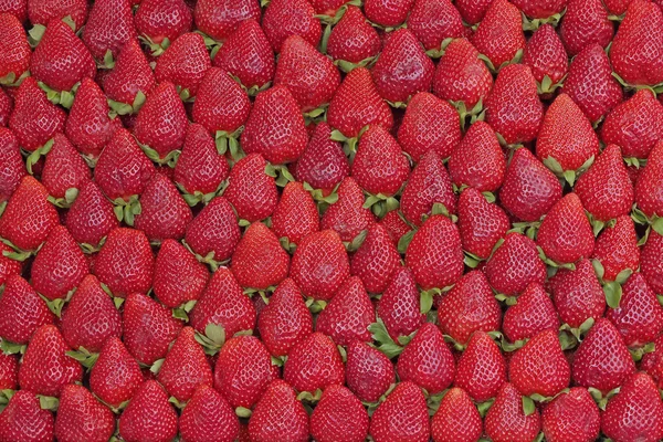 Fresas frescas fondo natural —  Fotos de Stock