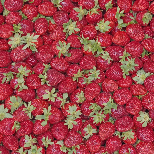 Fresh strawberries natural background — Stock Photo, Image
