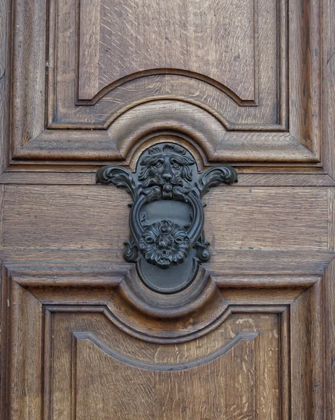Aslan kafa tokmağı ve kapı detay — Stok fotoğraf