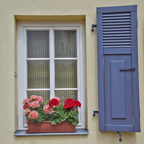 Window and flowers, Altenburg, Germany — Stock Photo, Image