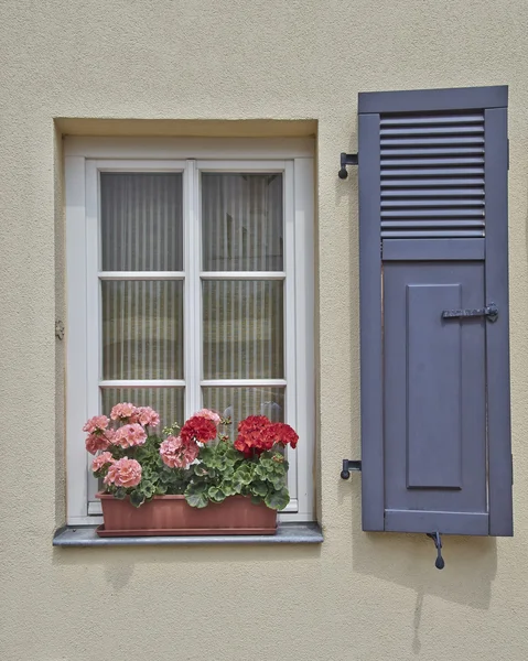 Janela e flores, Altenburg, Alemanha — Fotografia de Stock