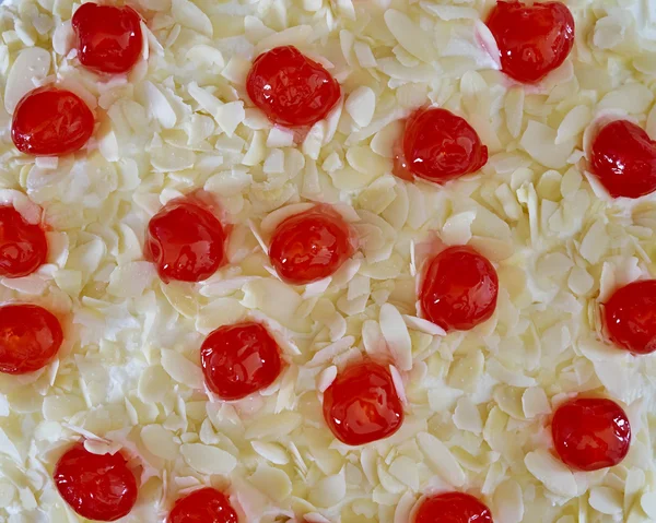 신선한 흰 수 제 케이크 — 스톡 사진