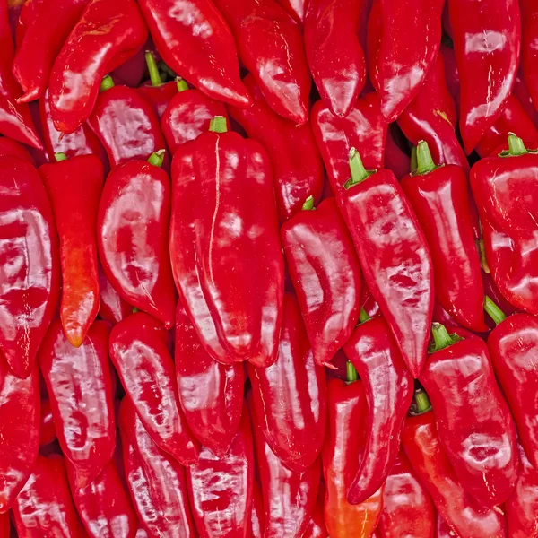 Fondo sabroso rojo, pimientos orgánicos — Foto de Stock