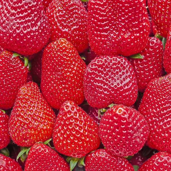 Smakelijke achtergrond, oranje hoorn pepers close-up — Stockfoto