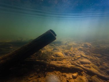 Akarsu burnundaki ahşap kütük, bulanık su, organik parçacık alüvyon, taştan sonra çakıl taşı substratında kum alüvyon tortusu, taştan sonra yeşil alg, yüzey dalgası, Uzhhorod 'da sığ nehir Uzh