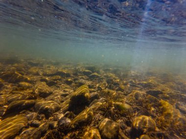 Uzhhorod 'daki Uzh nehri, sığ sualtı sualtı akaspelerini, organik parçacık, çakıl taşı üzerindeki alüvyon tortusu, kum substratı, yüzey dalgası yansıması, hafif gölge oyunu, düşük görüş mesafesi keşfi