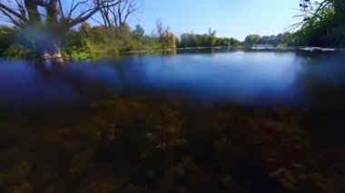 Su altı dalışı, hornwort oksijenat sığ tatlı su gölü, dikenli su bitkisi, düşük görüş mesafesi çamurlu su, durgun yüzey yansıması Lityn 'deki Buher nehri, biotope akvaryum fikri.