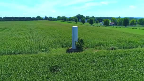 Luftaufnahme Eines Alten Wasserturms Inmitten Eines Grünen Maisfeldes — Stockvideo