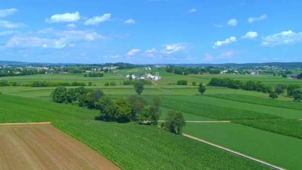 Aerial View Green Textured Farmlands Growing Corn Other Vegetables Beautiful — Stock Video