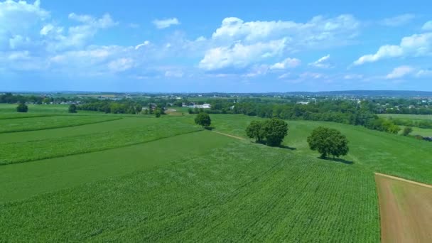 Letecký Pohled Starožitný Parní Motor Pára Foukání Zelených Farmách — Stock video