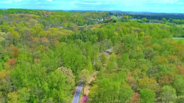 Veduta Aerea Dei Colori Primaverili Una Foresta Con Una Pista — Video Stock