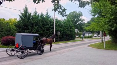 Güneşli bir yaz gününde Amish Atı ve Tüylü At Koşusu Köy Yolu boyunca