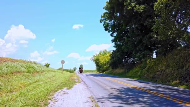 晴れた夏の日に田舎道に沿ってアミッシュ馬とバギーが腐っている — ストック動画