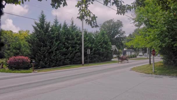ペンシルベニア州ゴードンビル 2020年8月 晴れた夏の日に田舎道に沿ってオープン馬とバギーに乗ってアーミッシュカップル — ストック動画