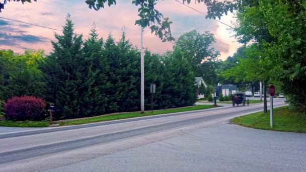 Caballo Amish Buggy Trotando Largo Country Road Soleado Día Verano — Vídeos de Stock