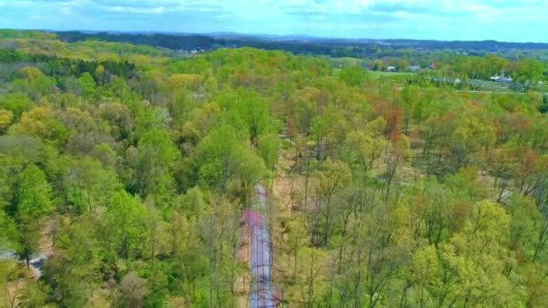 Luftaufnahme Der Frühlingsfarben Eines Waldes Mit Einer Überdachten Brücke Und — Stockvideo