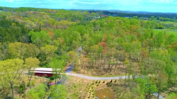 Luftaufnahme Der Frühlingsfarben Eines Waldes Einem Sonnigen Tag — Stockvideo
