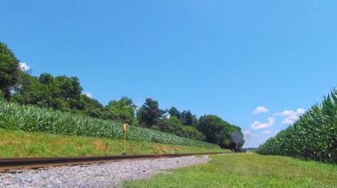Güneşli bir yaz gününde yaklaşan Buharlı Motorun Düşük Açı Görünümü Dumanı ve Buhar Esintisi