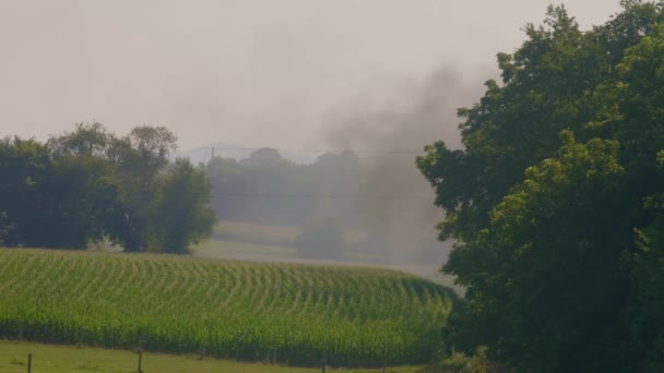 Pohled Kukuřičné Pole Kouřem Plujícím Nad Ním Zamračený Den — Stock video