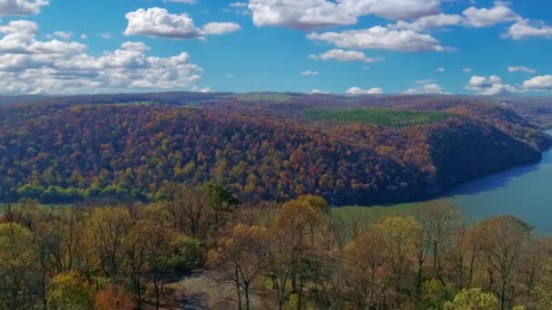 秋天里 沿着大河缓缓接近的秋天树木的空中景观 — 图库视频影像