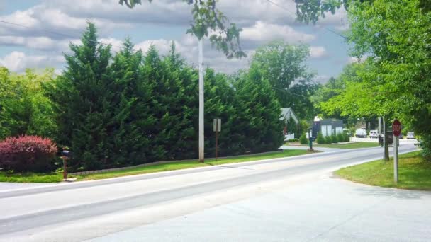 Amish Horse Buggy Horses Honting Country Road Sunny Summer Day — Stock video