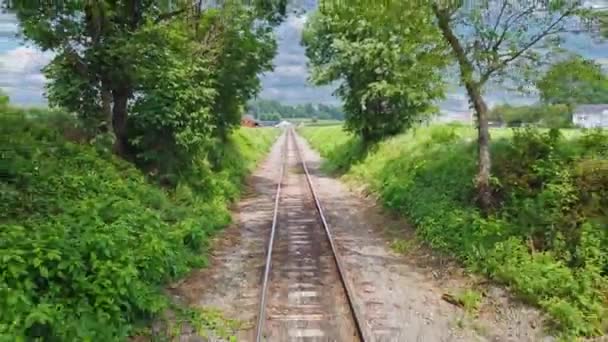 在一个阳光明媚的夏日 从火车的后部看到它沿着乡间小路行驶 — 图库视频影像