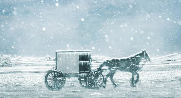 Amish At ve At Arabası Yerleşim Yolunda Seyahat Ediyor