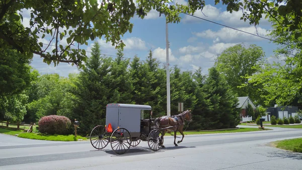 Amish Horse and Buggy Traveling along a Countryside