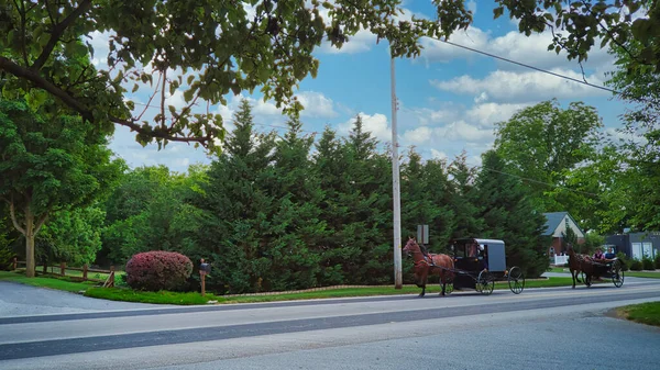 Ένα άλογο Amish και Buggy Ταξιδεύοντας κατά μήκος ενός δρόμου Countryside — Φωτογραφία Αρχείου