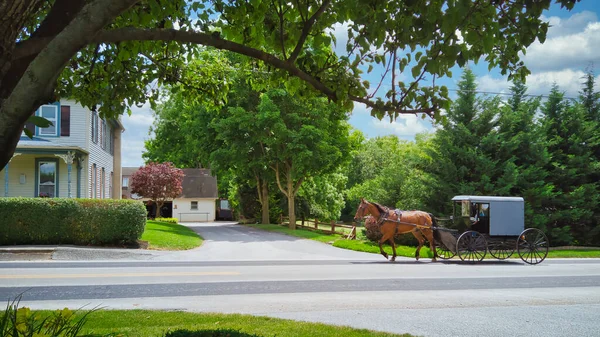 Amish Horse και Buggy Ταξιδεύοντας κατά μήκος μιας Εξοχή — Φωτογραφία Αρχείου
