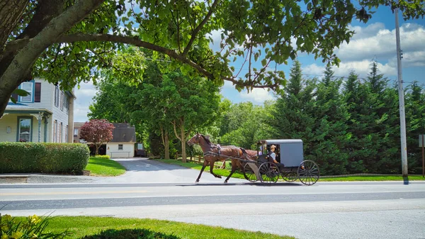 Un cheval amish et un buggy remplis de personnes amish qui voyagent — Photo
