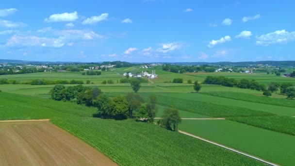 Vista Aérea Terras Agrícolas Texturizadas Verdes Cultivando Milho Outros Vegetais — Vídeo de Stock