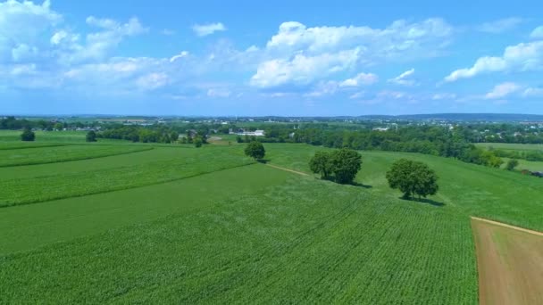 Luftaufnahme Einer Antiken Dampfmaschine Und Caboose Die Über Grüne Farmen — Stockvideo