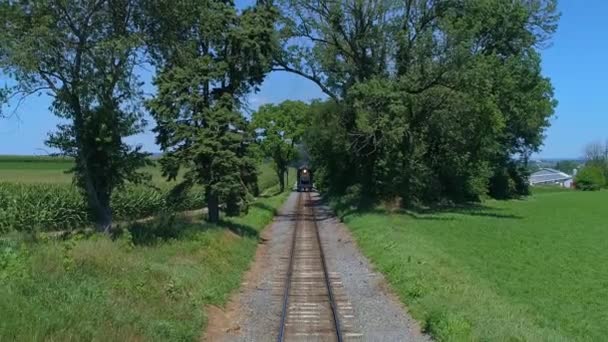 夏の日に農場の田園風景を見に旅行中 — ストック動画