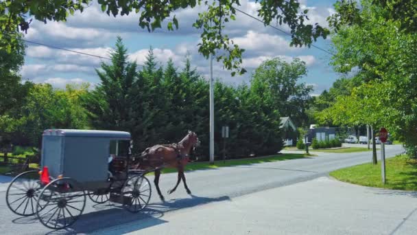 田舎道を嵐が夏の日に近づくにつれて Amish Horse Buggy Travel Country Road — ストック動画