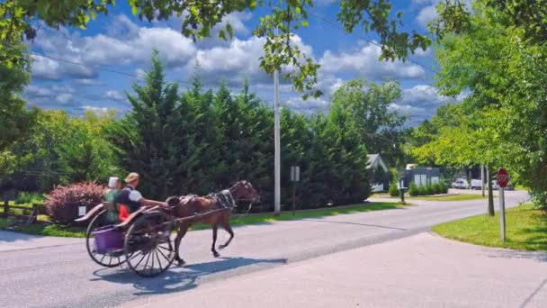 Gordonville Pennsylvania Settembre 2020 Cavallo Aperto Amish Buggy Con Una — Video Stock