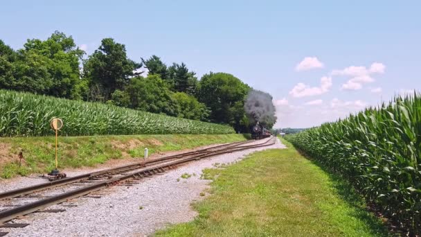 Antigo Motor Vapor Restaurado Treinadores Passageiros Viajando Pelo Campo Campos — Vídeo de Stock