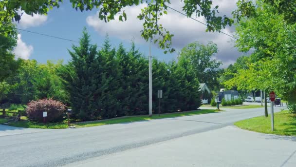 Cheval Amish Buggy Voyageant Sur Une Route Campagne Par Une — Video