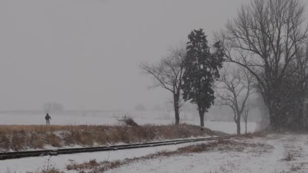 Rüzgarlı Bir Kar Fırtınası Tarlalarda Kar Tren Yolu Köpeğini Gezdiren — Stok video